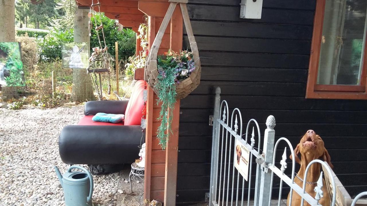 Chalet Op Een Rustig Park In De Natuur Putten Exterior foto