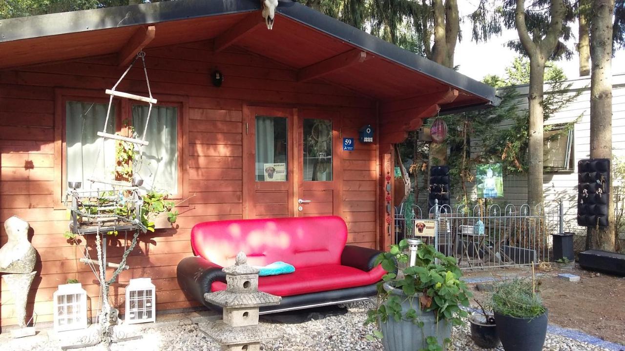 Chalet Op Een Rustig Park In De Natuur Putten Exterior foto
