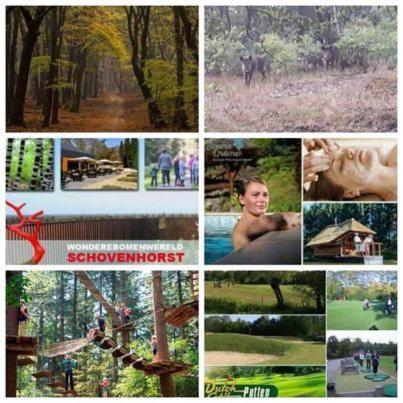 Chalet Op Een Rustig Park In De Natuur Putten Exterior foto